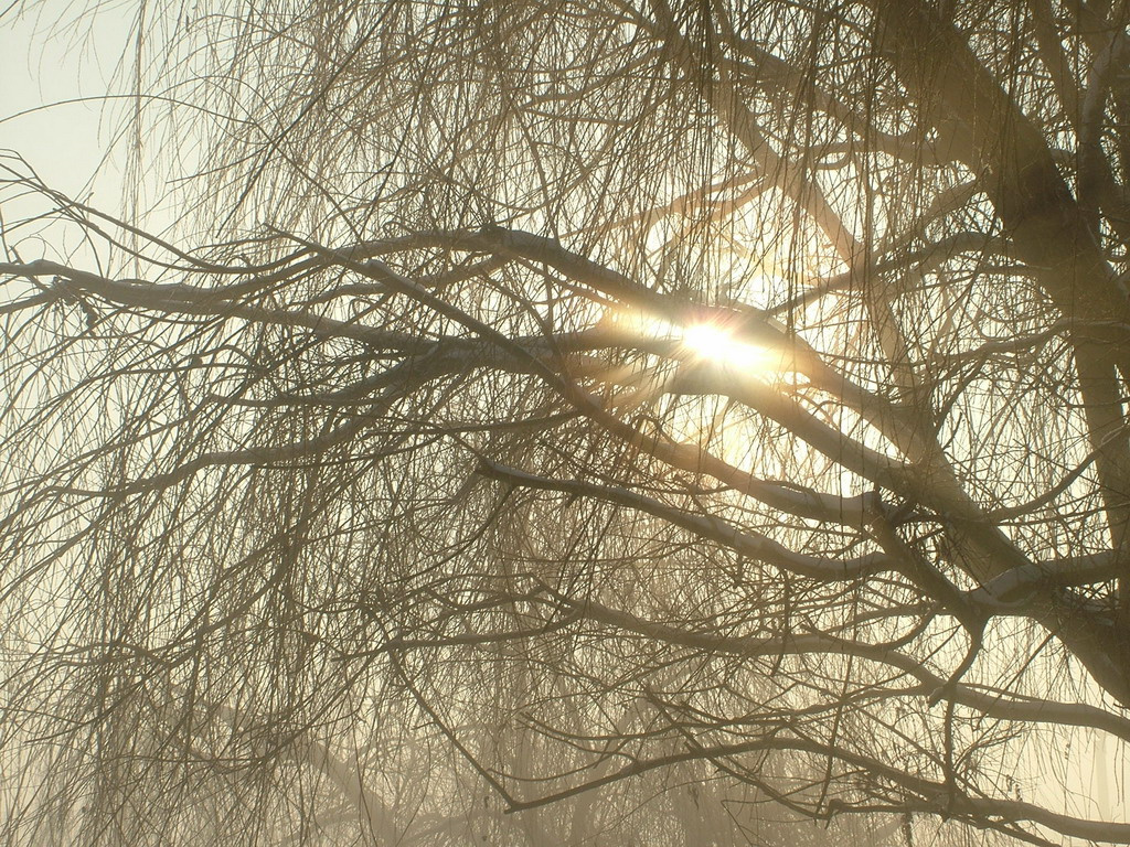Téli ködben