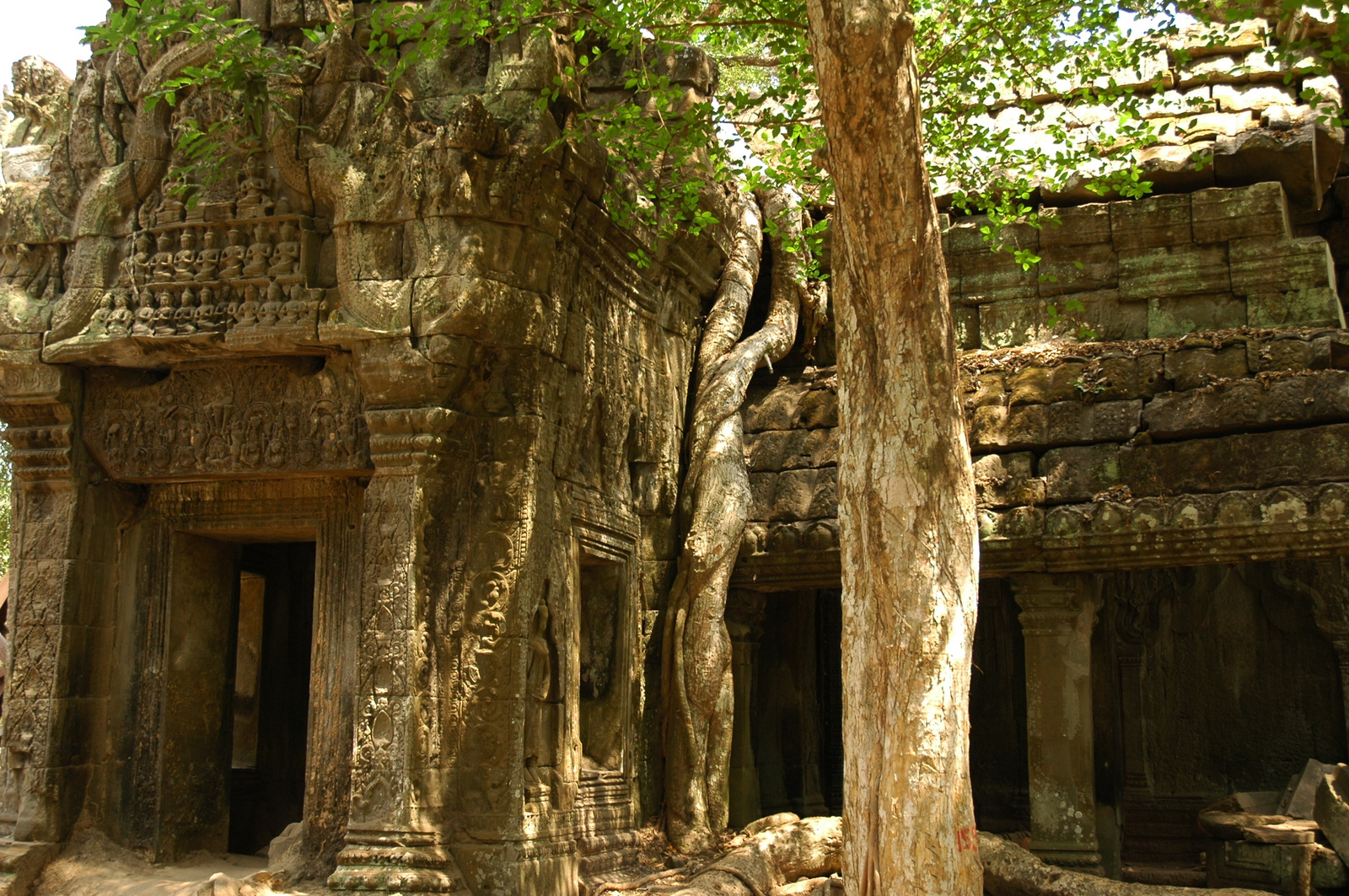 Ta Prohm