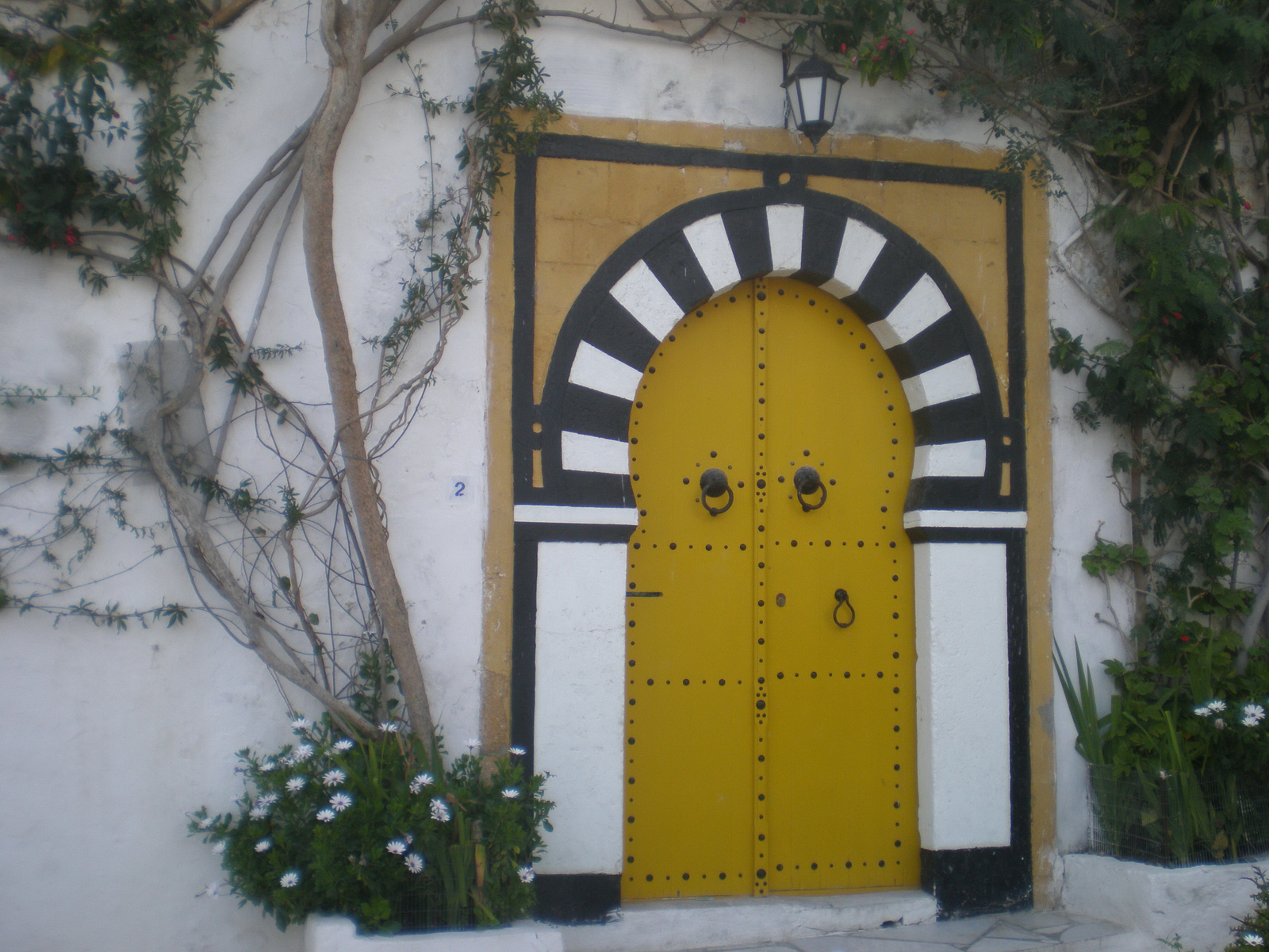 Sidi Bou Said, kapu