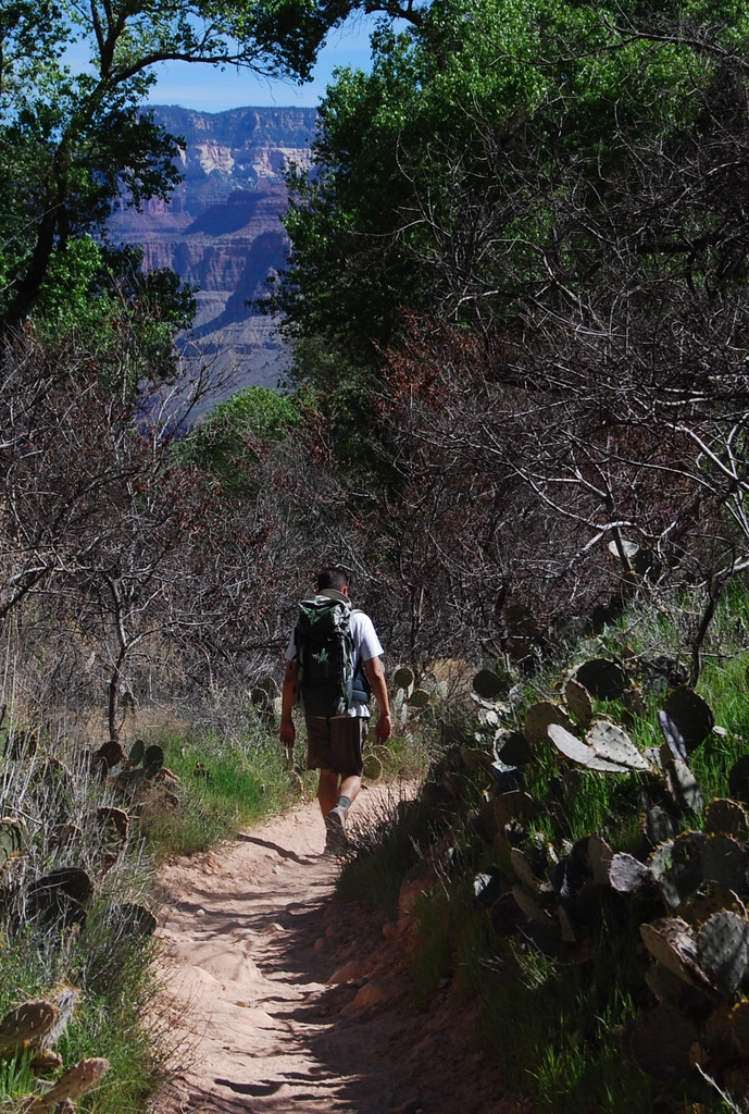 US 2011 Day14  039 Bright Angel Trail, Grand Canyon NP, AZ