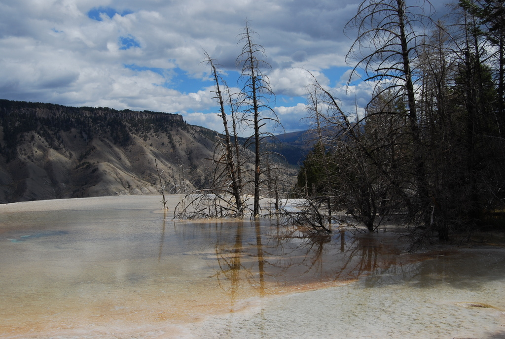 US 2010 Day10  073 Mammoth Hot Springs, Yellowstone NP, WY