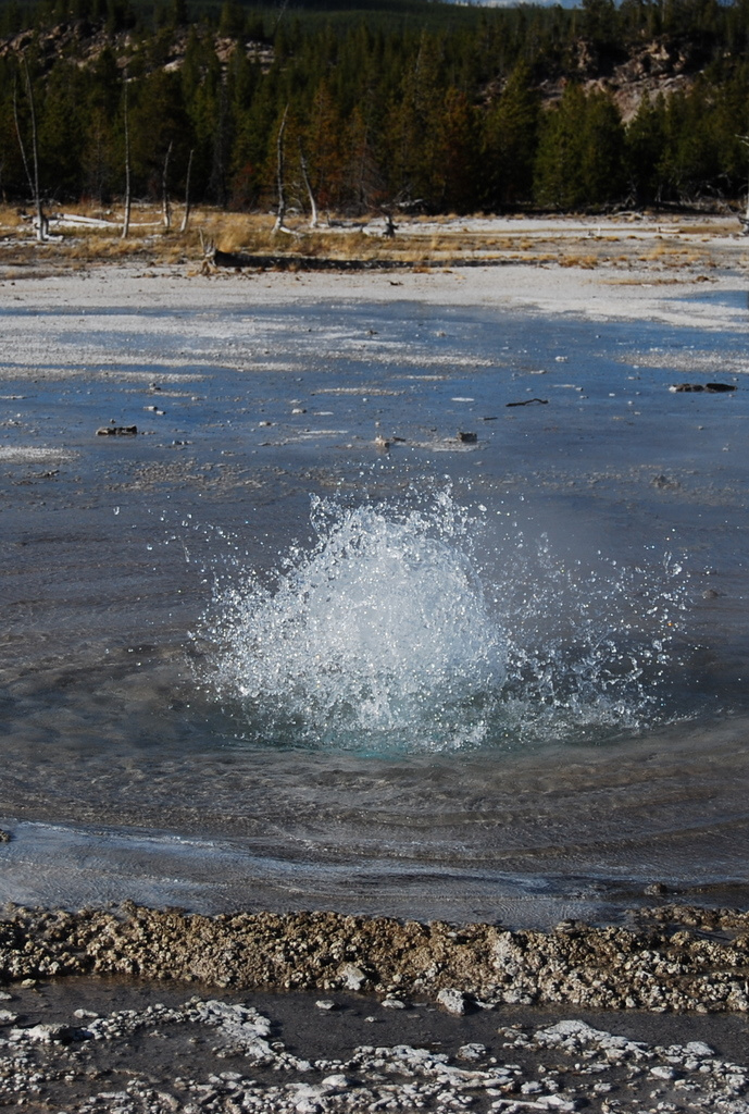 US 2010 Day10  124 Norris Geyser Basin, Yellowstone NP,WY