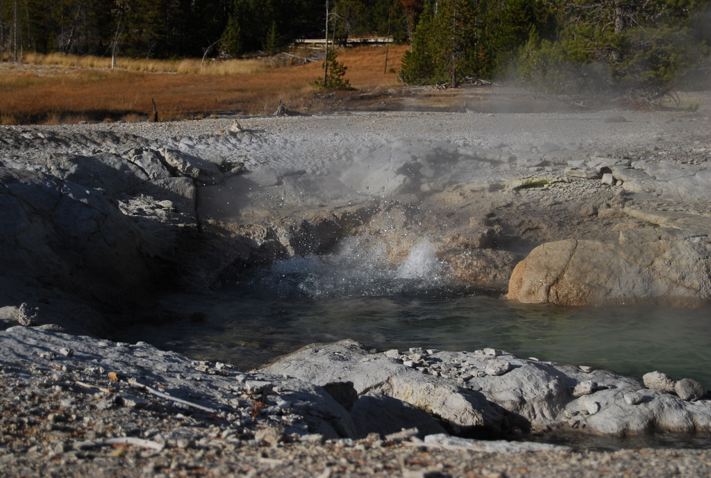 US 2010 Day10  131 Norris Geyser Basin, Yellowstone NP,WY