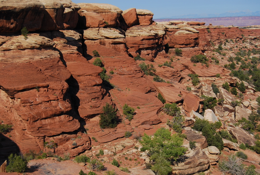 US 2010 Day20  090 Needles District, Canyonlands NP, UT