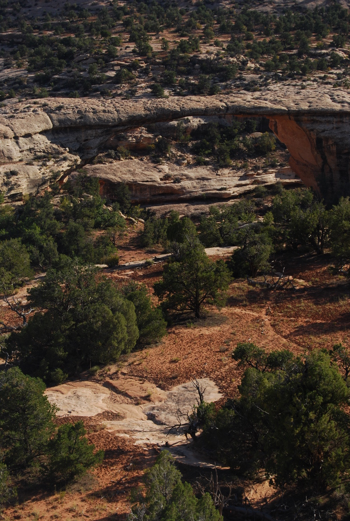 US 2010 Day21  035 Owachomo Bridge, Natural Bridges NM, UT