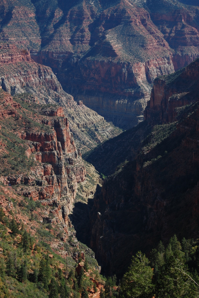 US 2010 Day23  078 North Rim, Grand Canyon NP, AZ