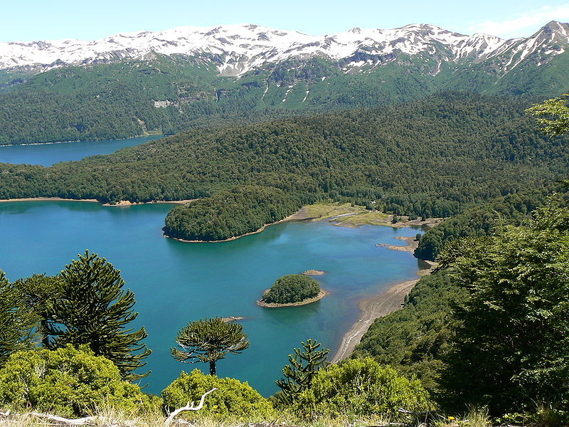 Lago Conguillio tó a Conguillío Nemzeti parkban - 001a - (wikipe