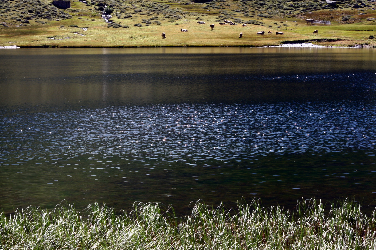 Ober murgsee