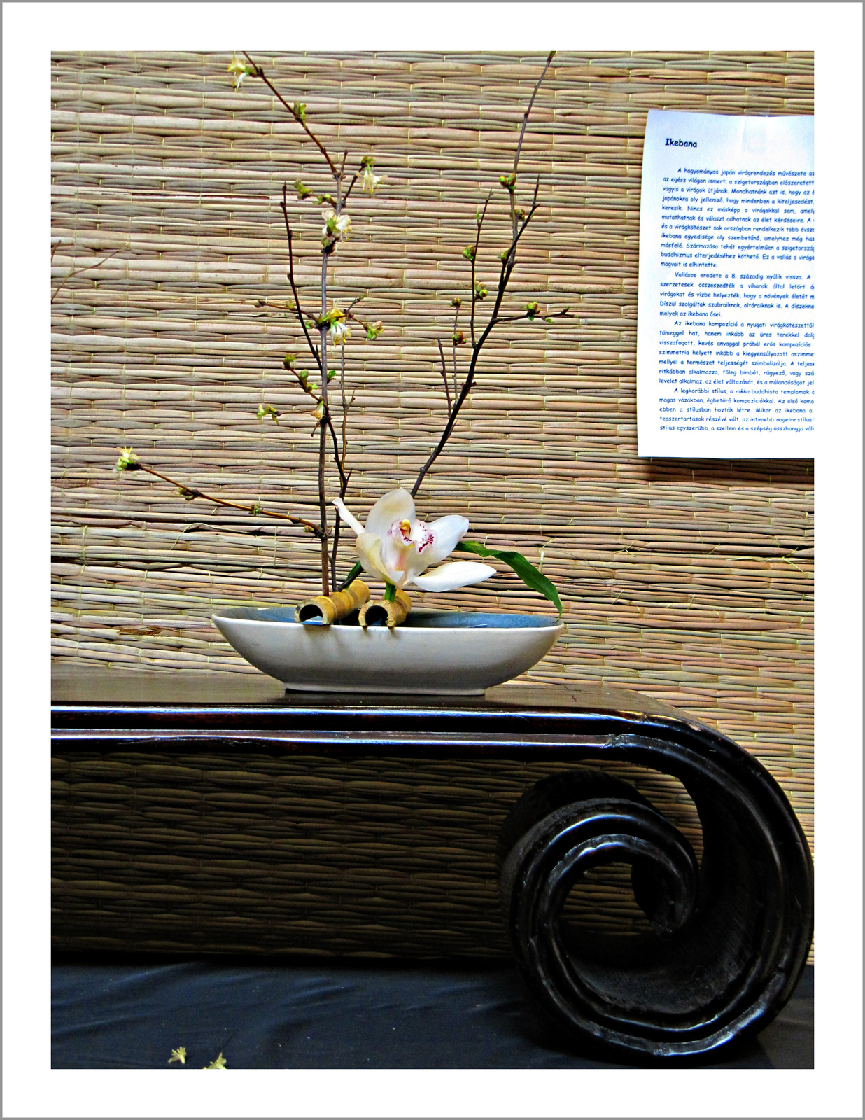 ikebana