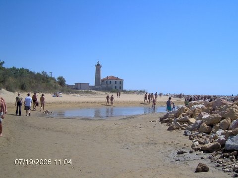 Bibione mindenhol...