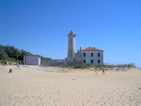 Bibione mindenhol...