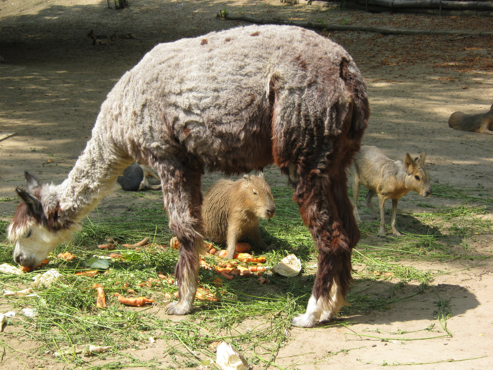 lunch in common