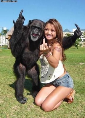 badass monkey