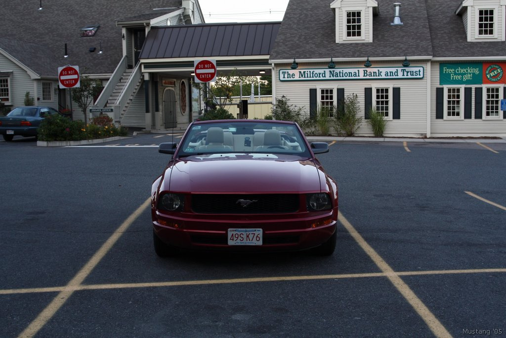 Mustang 05