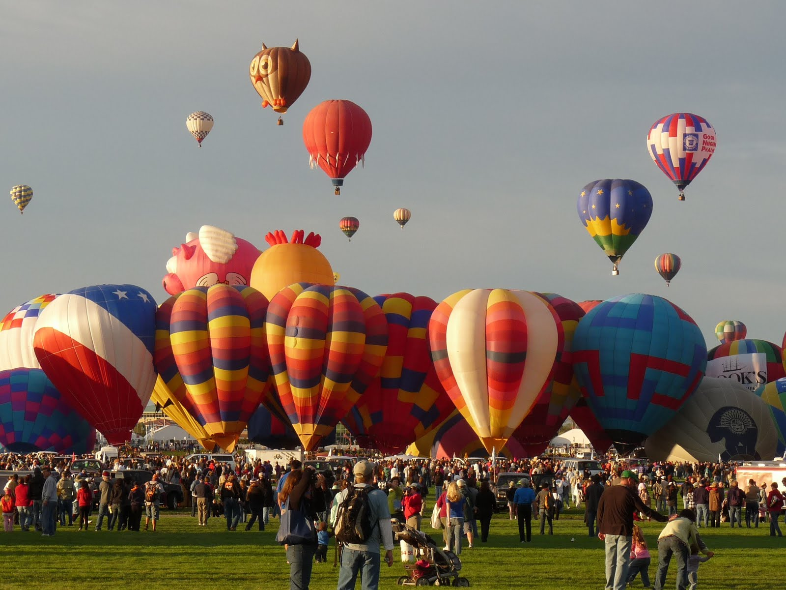 259Southwest Albuquerque Hot Air Balloon