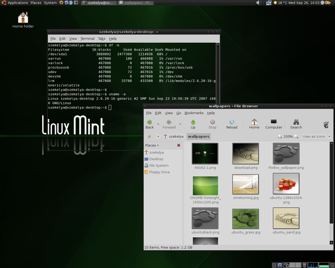 Screencap 2007 September linux