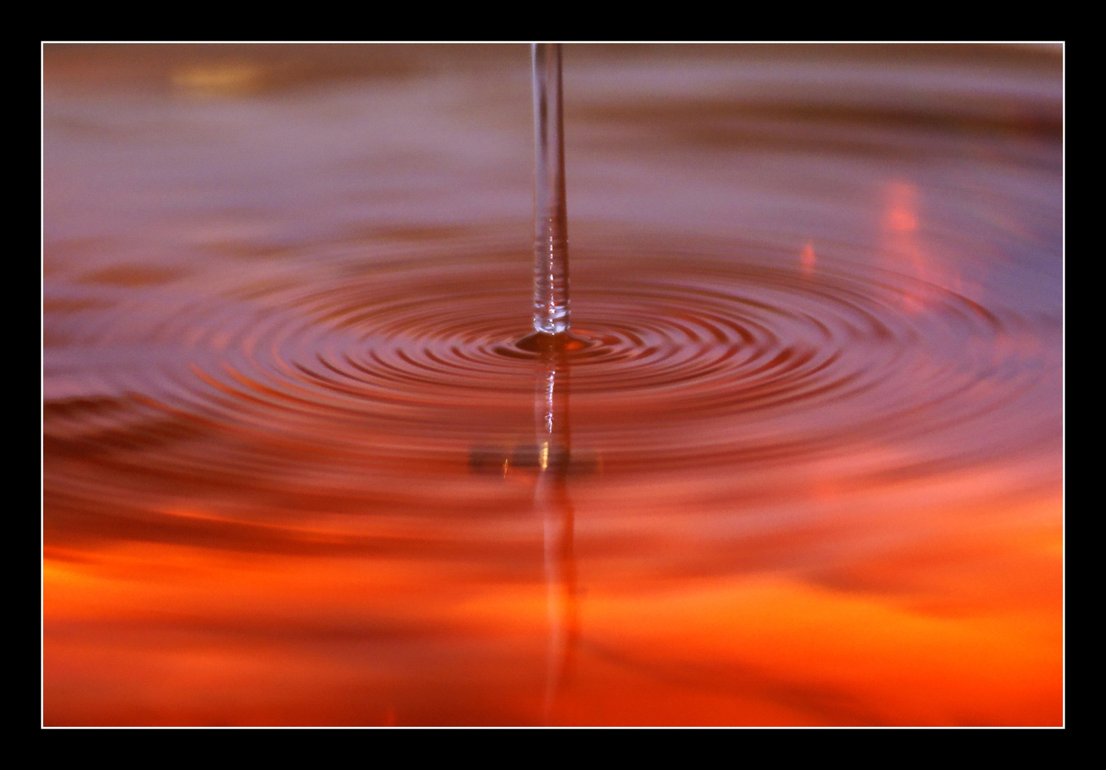 Sunset in the water