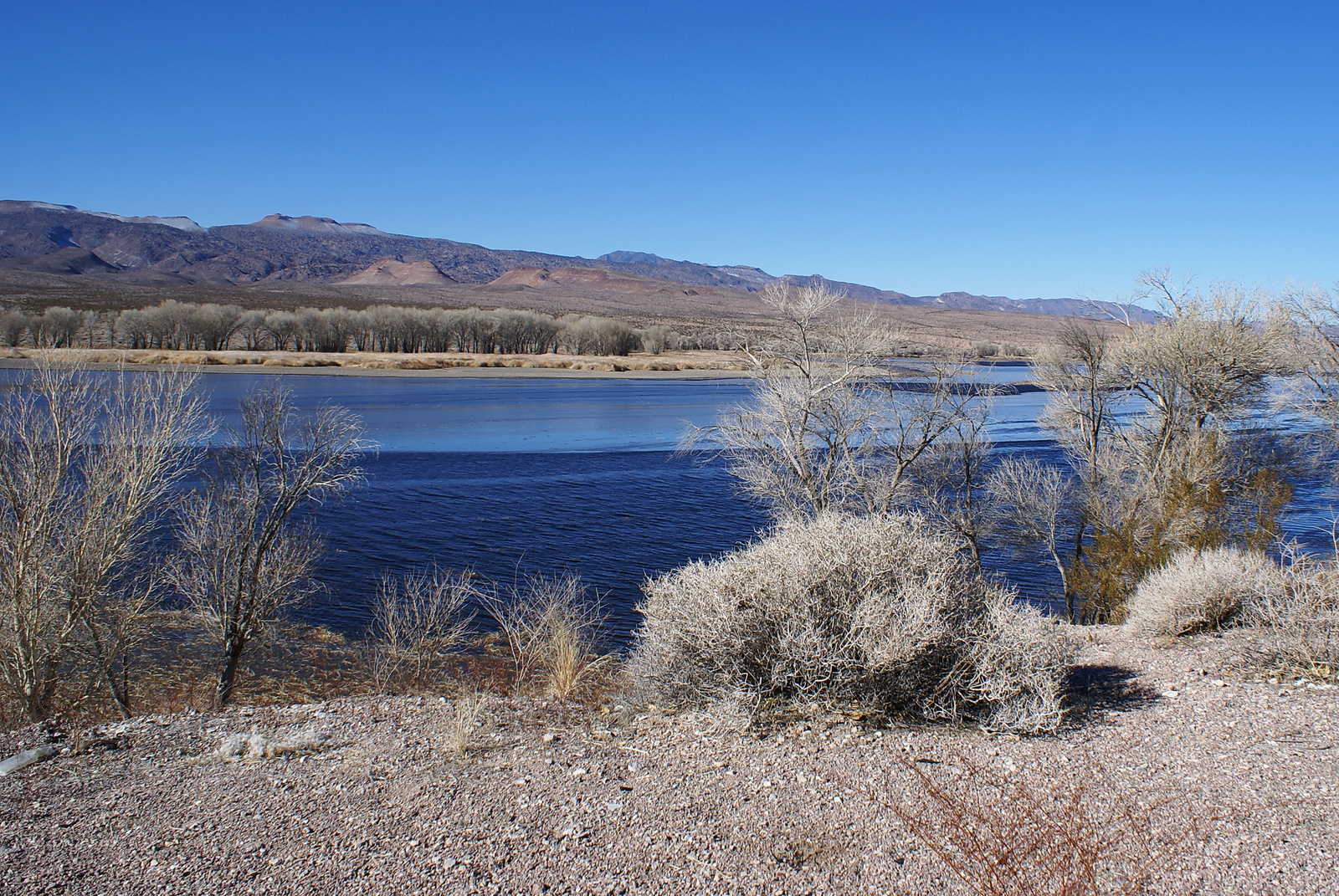 Pahranagat Lake, Nevada