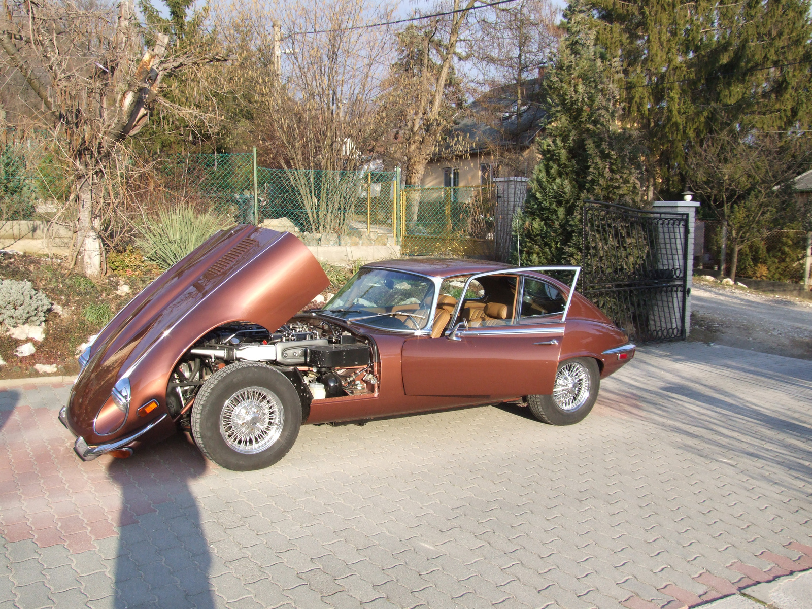 jaguar e-type