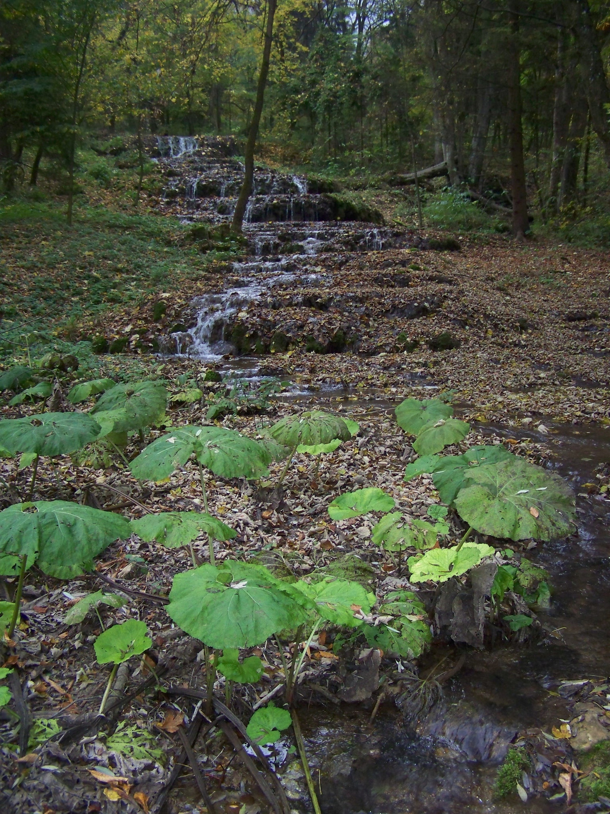 Szilvásvárad