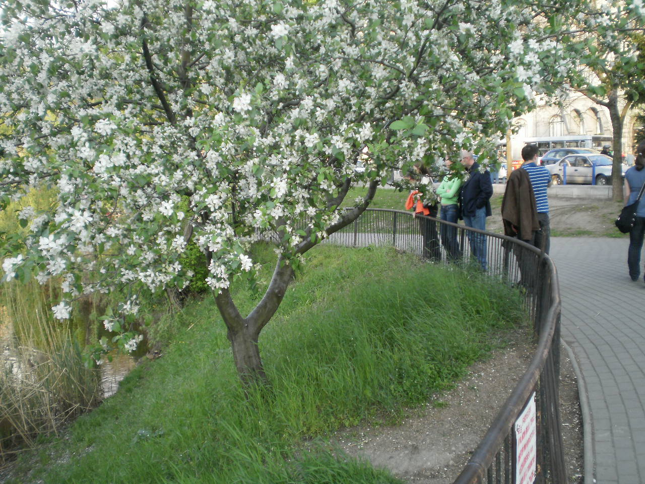 a Feneketlen tónál