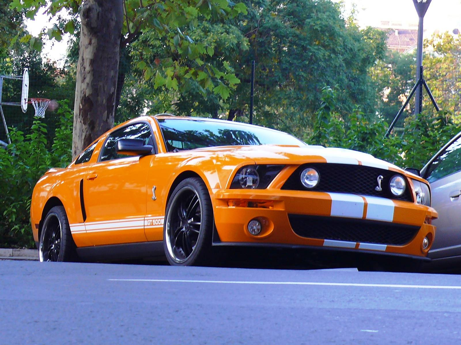Shelby GT 500