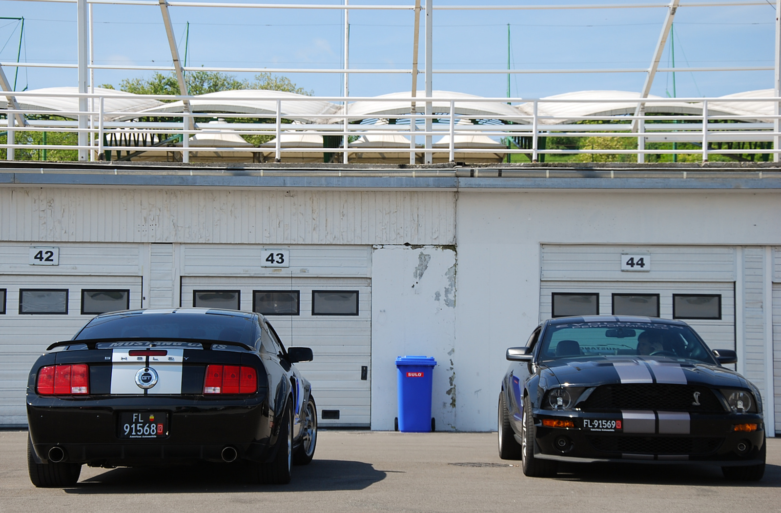 Shelby GT500 combo