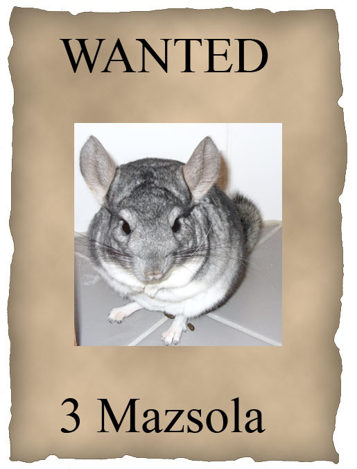 wanted picur 1