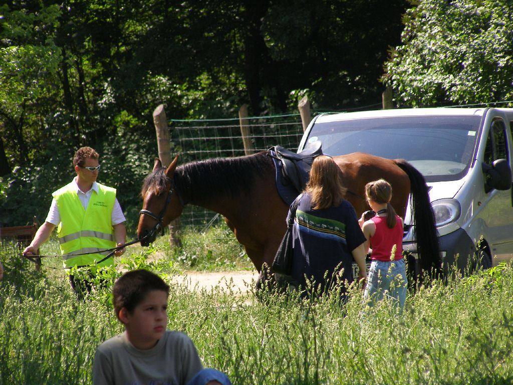 Kamaraerdő008