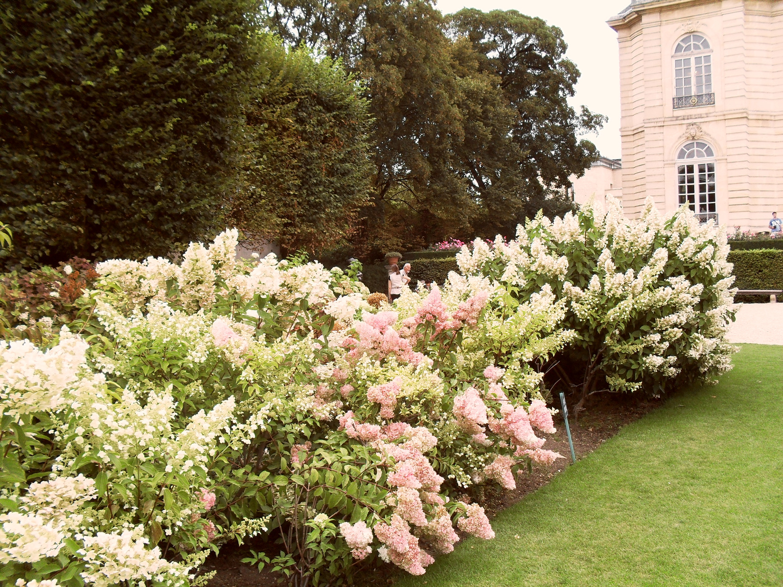 Rodin muzeum