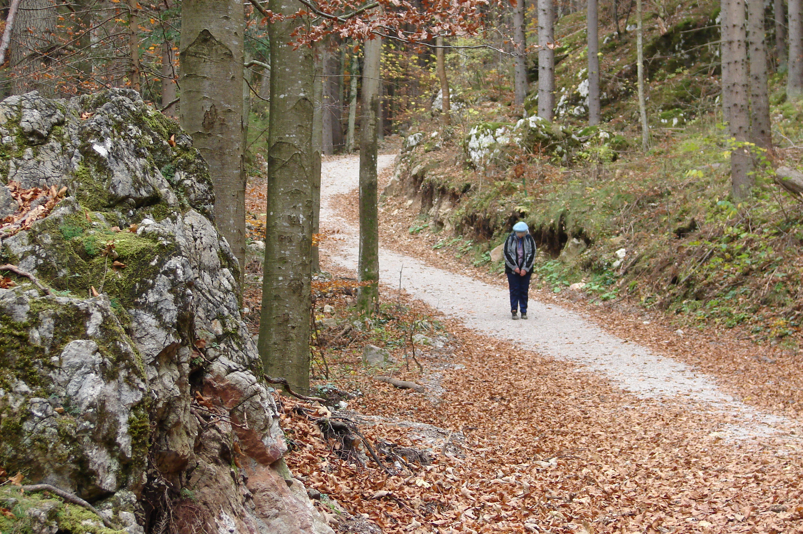 Ausztria, Mixnitz, Bärenschützklamm, SzG3