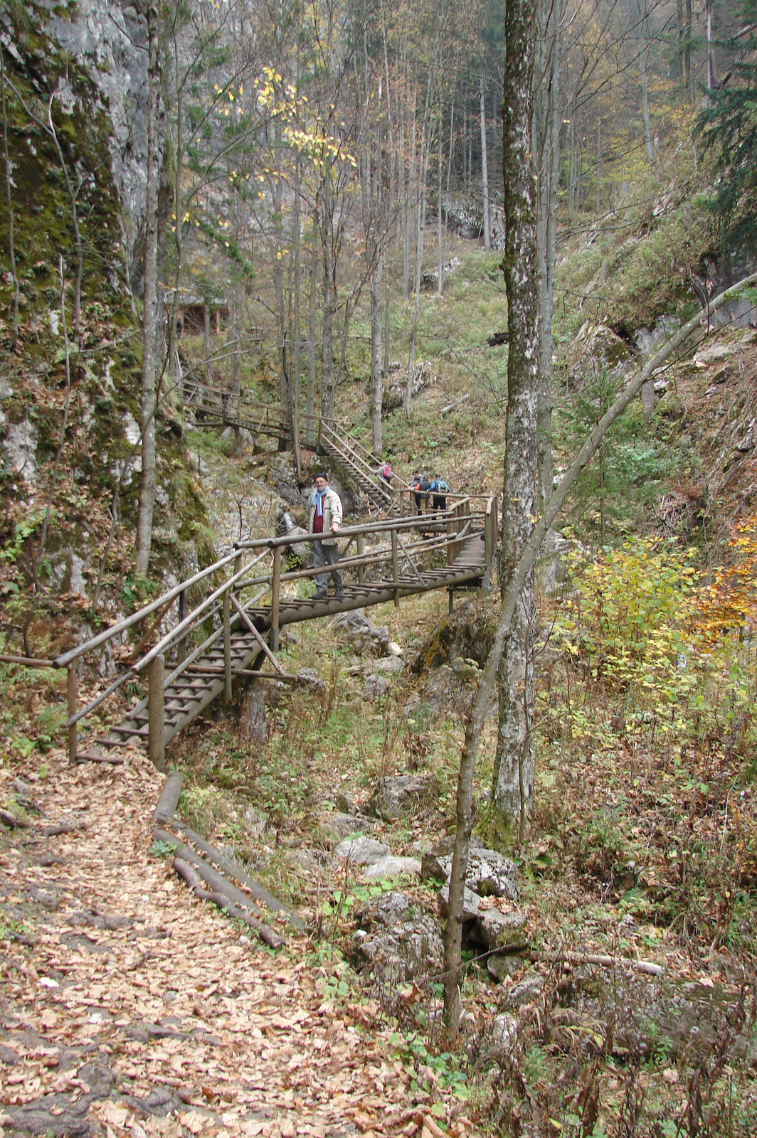 Ausztria, Mixnitz, Bärenschützklamm, SzG3