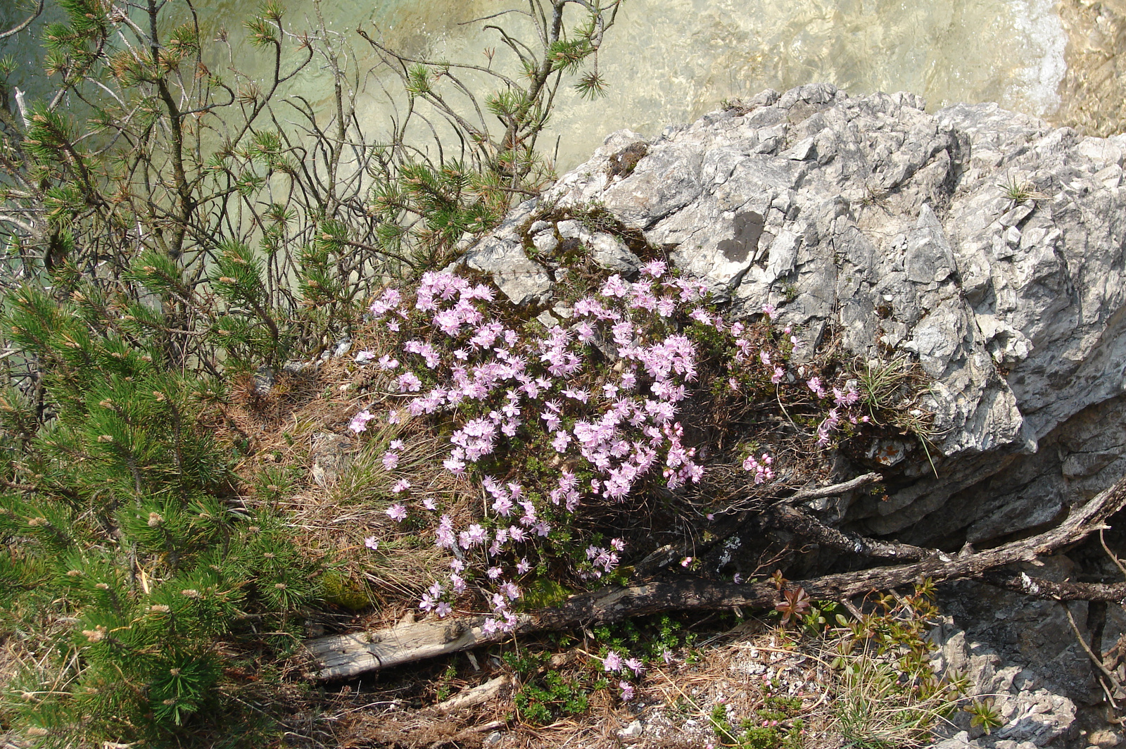 Ausztria, Wienerbruck, Ötschergräben, SzG3