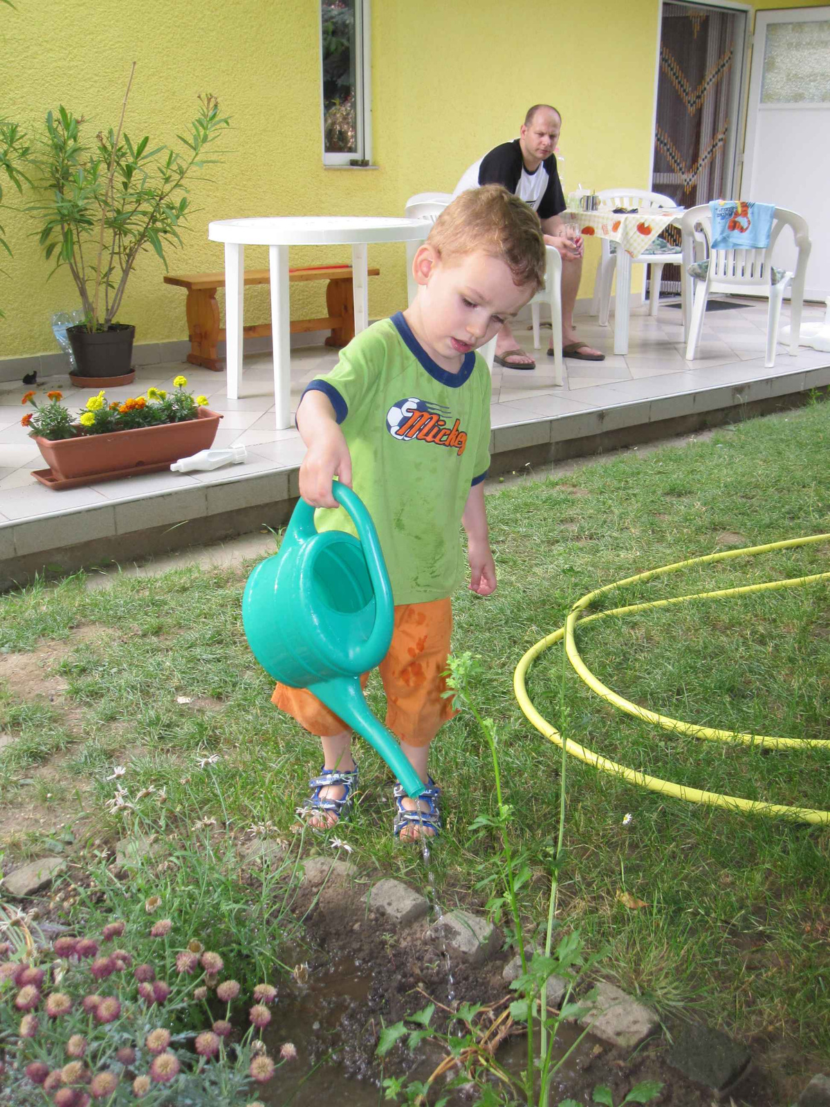 Vízkultúrás növények a Balcsin