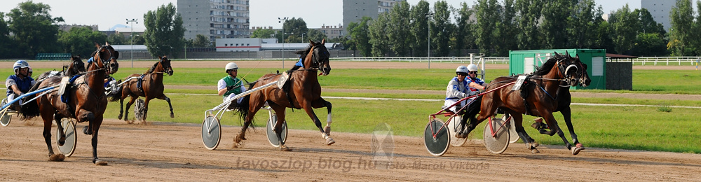 Lencsi (Fazekas Andrea) nyerte a Lil Díjat