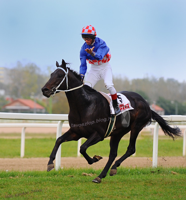 Magyar St. Leger (Listed) - I. Tutanhamon (Jaroslav Línek)