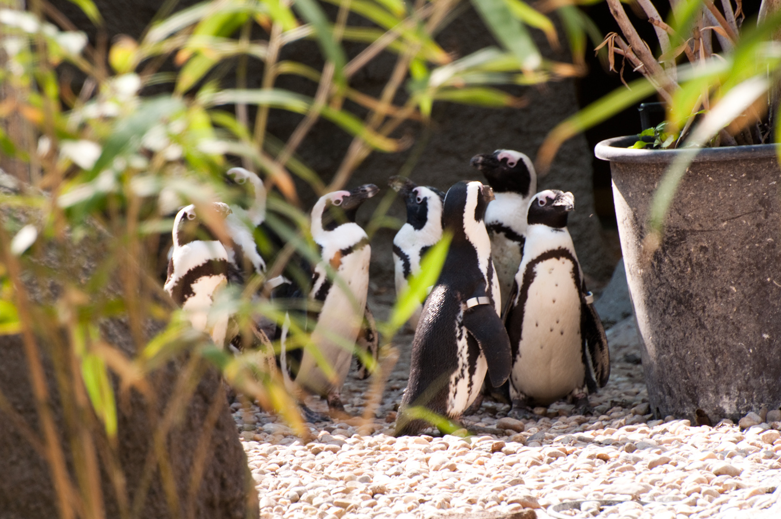 zoo2010-0303