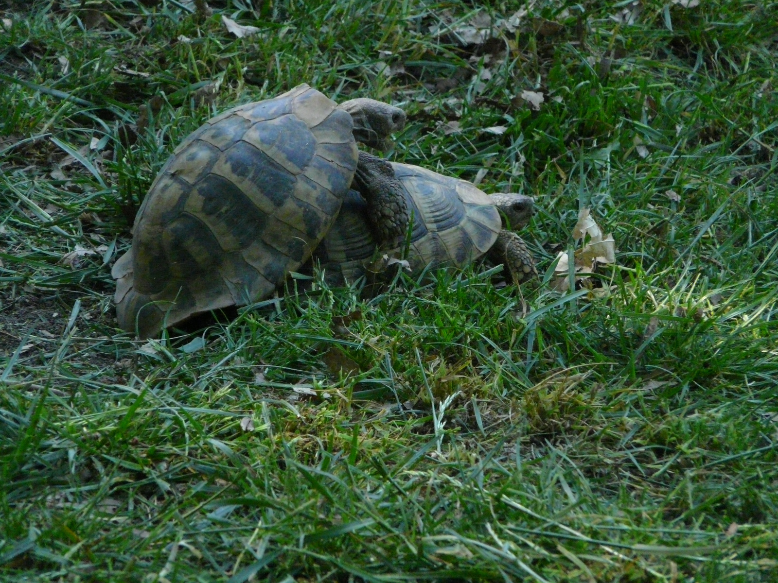 Osztálykirándulás 2009 071