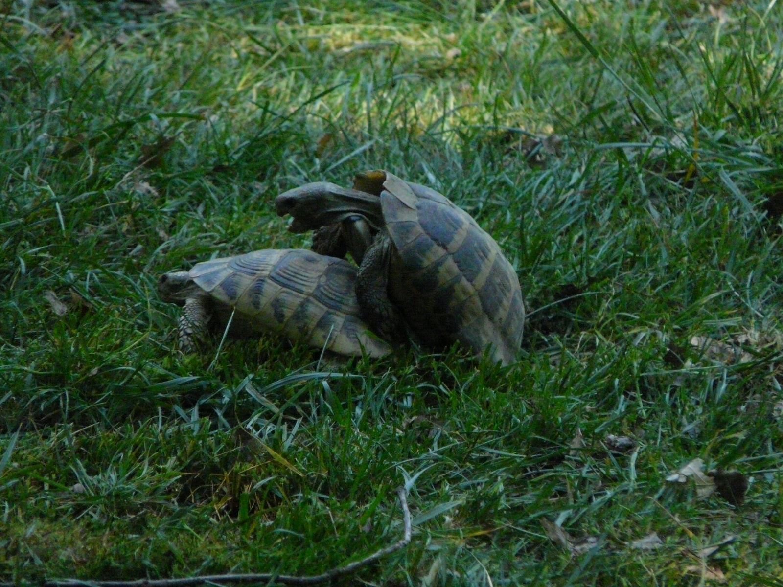 Osztálykirándulás 2009 075