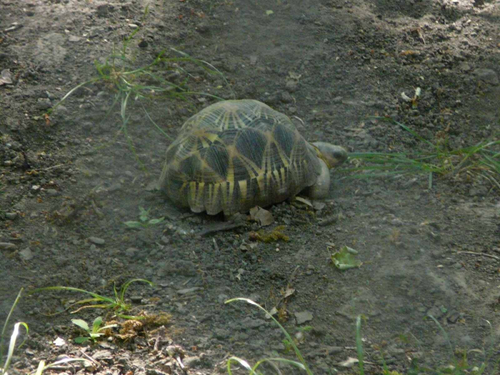 Osztálykirándulás 2009 080