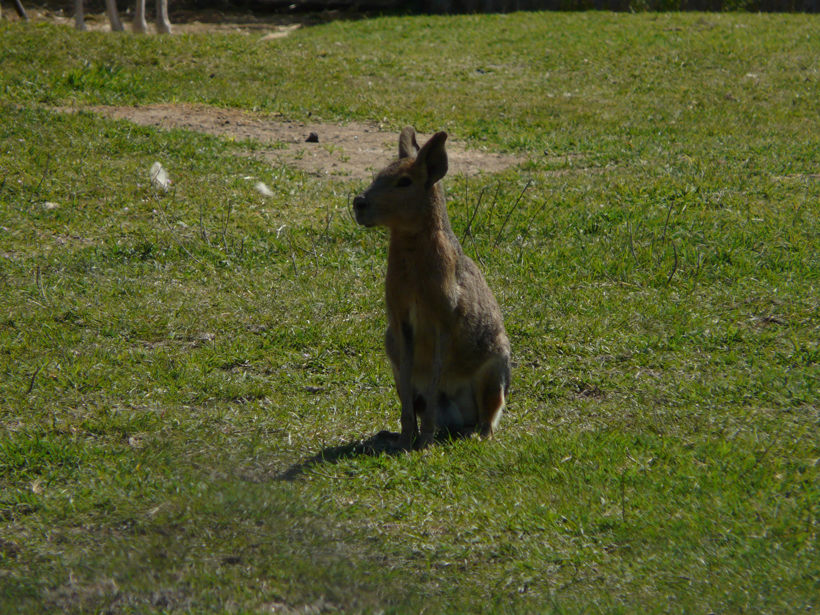 Osztálykirándulás 2009 128