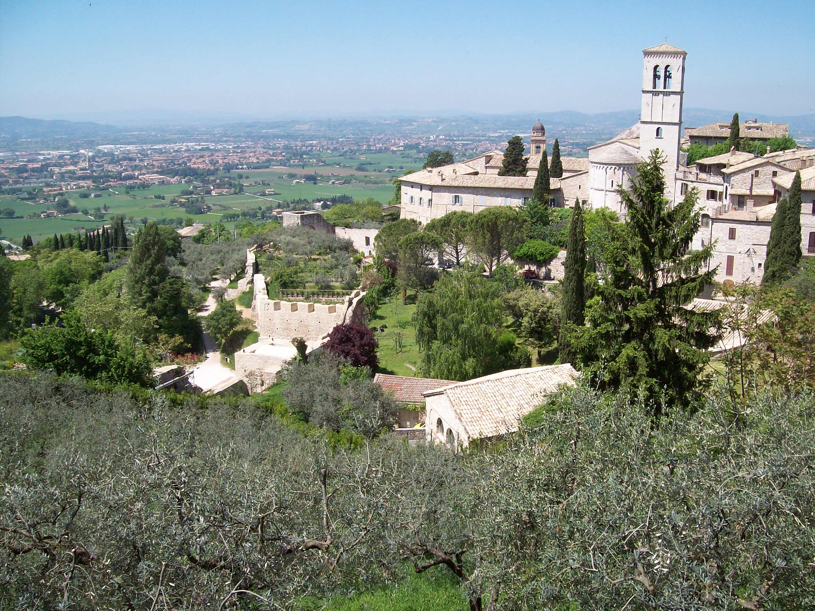 assisi18