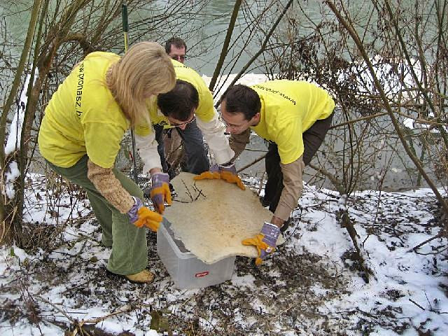 2008-01-11 Lapincs jégminták vizsgálata Bécsben