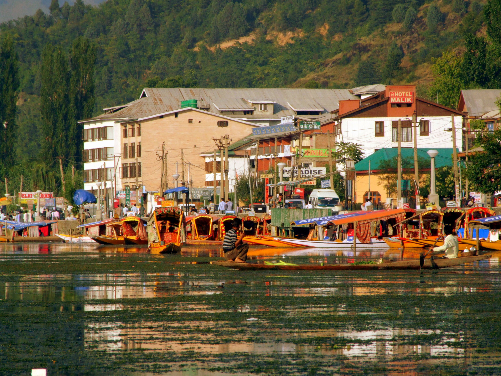 Srinagar: Dal lake