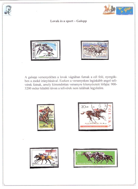 Lovak világa - 050102-lovak és a sport Galopp