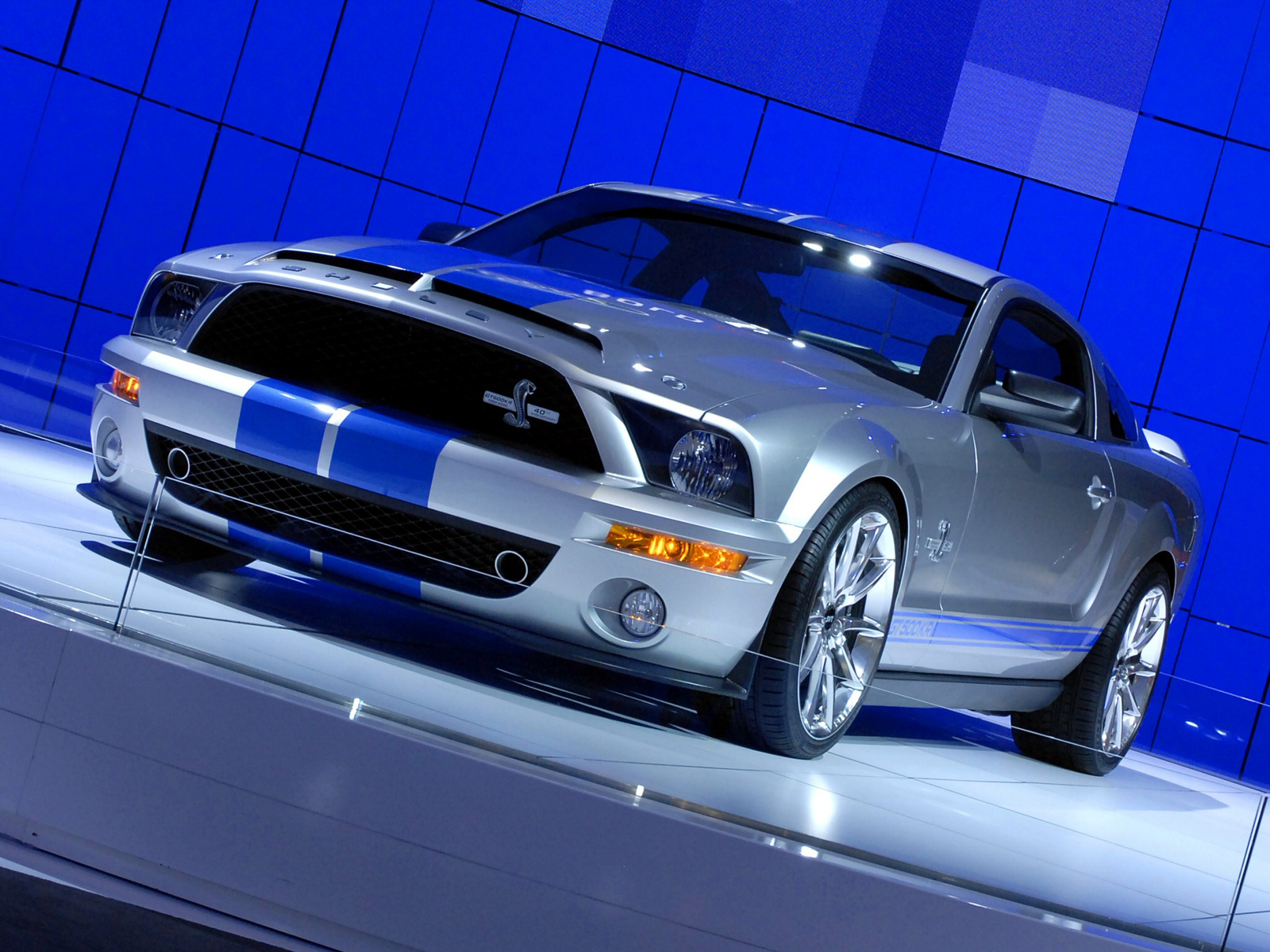 shelby