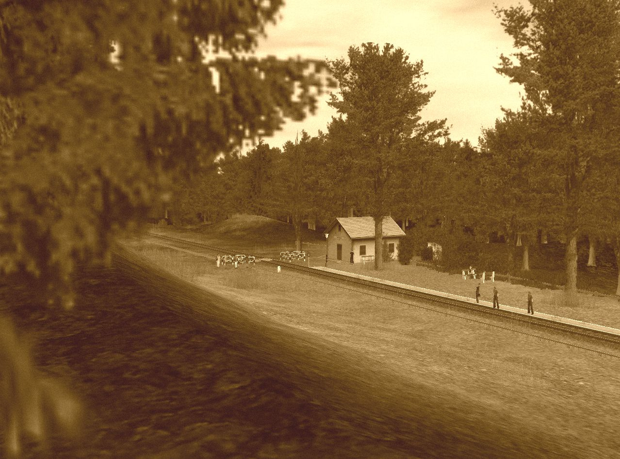 Fenyvesi 001 sepia