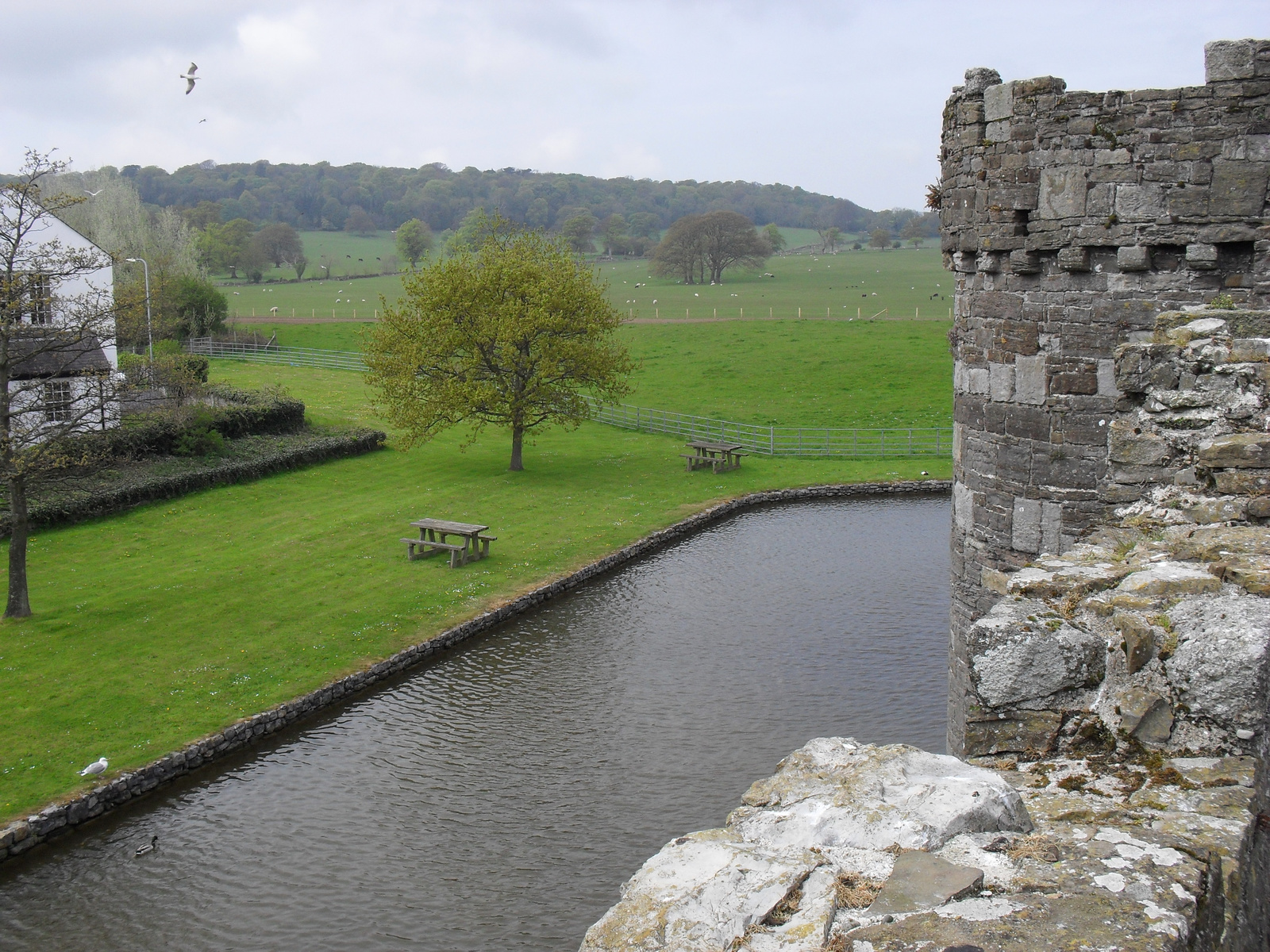 Beaumaris