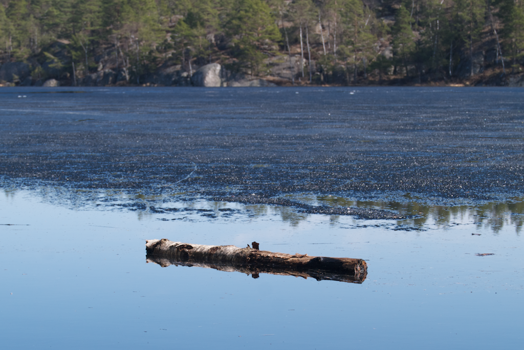 Tyresta nemzeti park - Arsjön