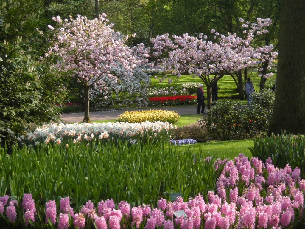 Keukenhof